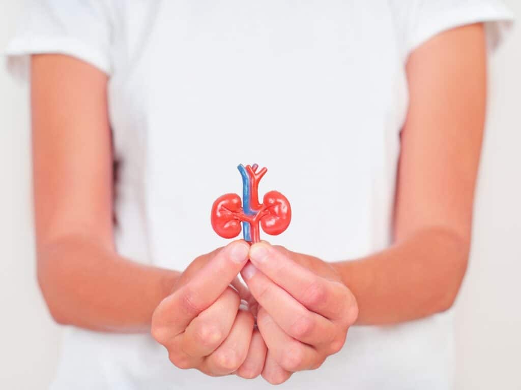 Should You Have A Nephrectomy With Stage 4 Kidney Cancer? 1 Untitled Project 4